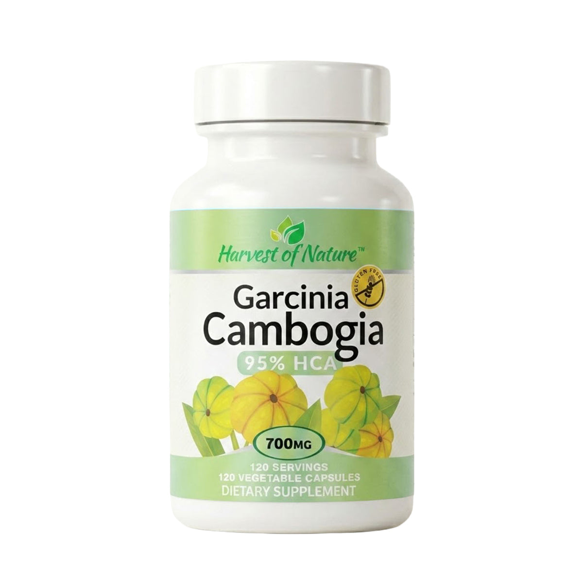 Garcinia Cambogia
