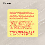 2 Pack Basic Health Brands® L-Lysine Ointment