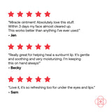 2 Pack Basic Health Brands® L-Lysine Ointment